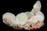 Thomsonite (Zeolite) On Stilbite - Maharashtra, India #102344-2
